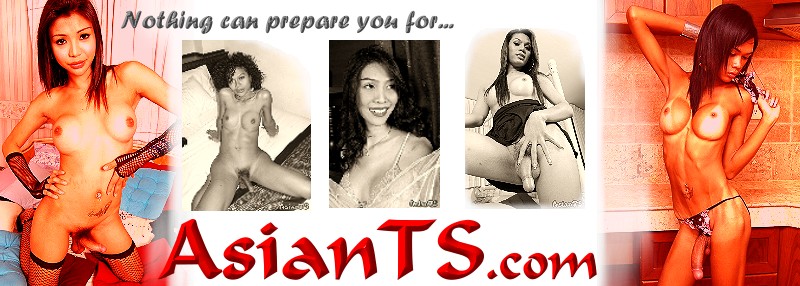 Asian Ts