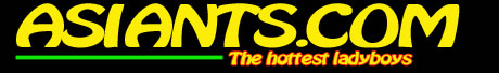 Most Beautiful Ladyboys only at AsianTS.com!